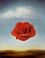 1958_06 Meditative Rose 1958